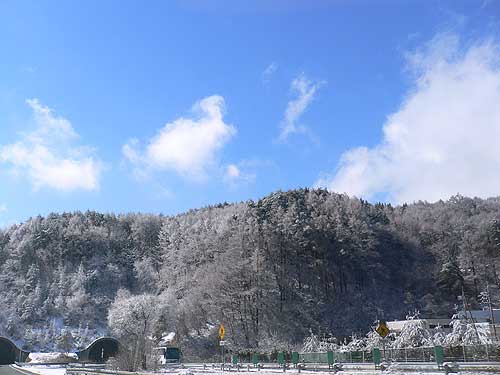 c0001491_0163544.jpg