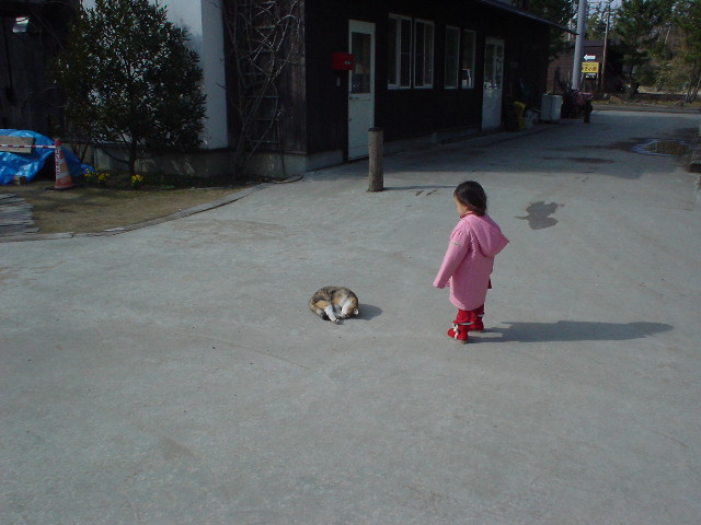 子供と猫・・・_d0039111_13315064.jpg