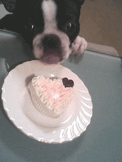 e0080117_0154768.gif