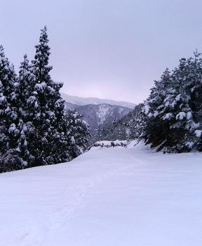 五頭高原、雪山歩き！_f0084317_11362853.jpg