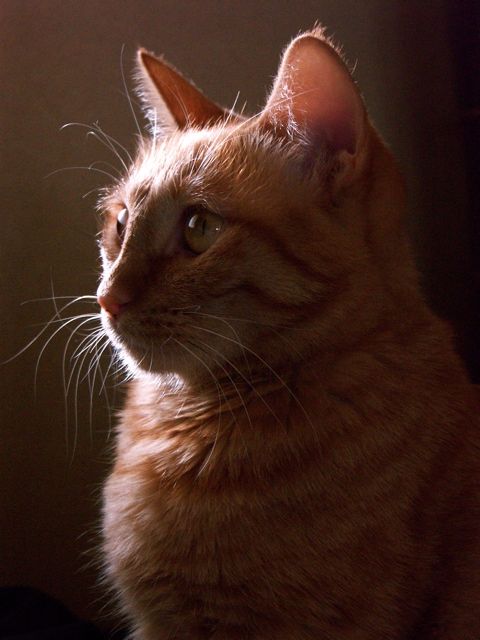 e0044929_11341631.jpg