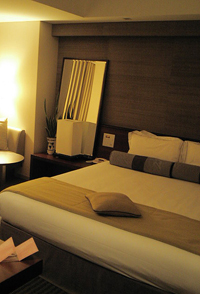 THE STRINGS HOTEL TOKYO_b0035734_2247468.jpg
