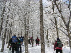 山旅伝説に新たな1ページ・小日向山_f0019247_22171826.jpg