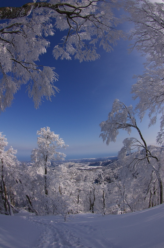 ３月４日　大山（鳥取）その１（５合目まで）_a0009554_22143184.jpg