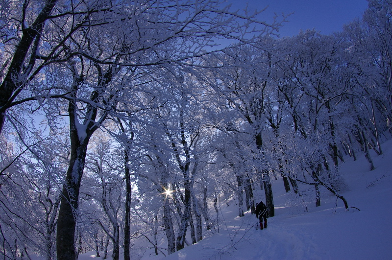 ３月４日　大山（鳥取）その１（５合目まで）_a0009554_2261292.jpg