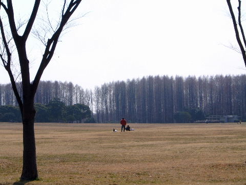 自転車デザインのバックボーンをつくる人_a0034181_0361222.jpg