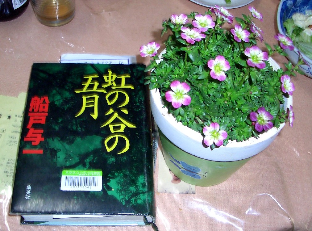 船戸与一 虹の谷の五月 を読む 隠居生活 東京 マニラ行ったり来たり