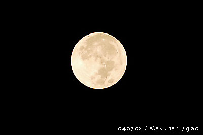 優しくあれ_f0054594_5564460.jpg