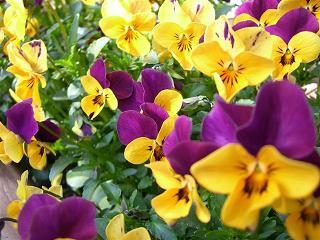 a0057402_2227195.jpg
