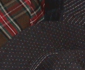 e0081903_22521377.jpg
