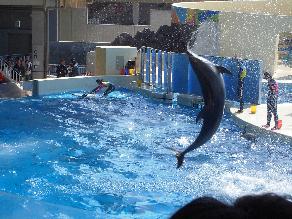 f0040310_18395334.jpg