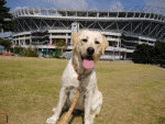 a0045817_13491472.gif