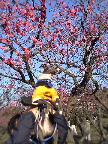 c0003217_22244750.jpg