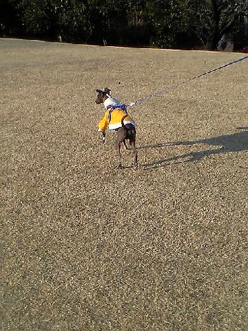 c0003217_22314921.jpg