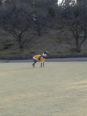 c0003217_2232838.jpg