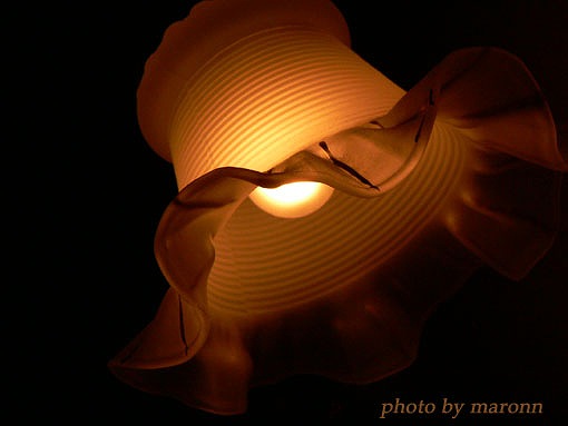 night flower*_f0019849_028823.jpg