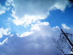 c0051759_20565597.jpg