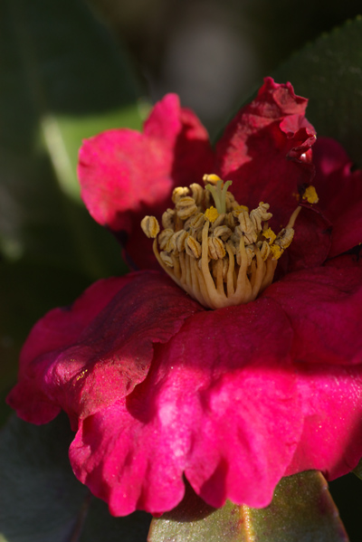 c0054876_6413621.jpg