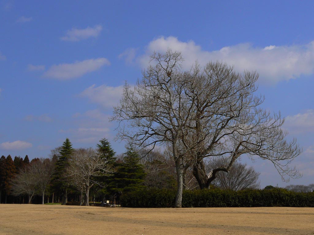 e0071178_22202290.jpg