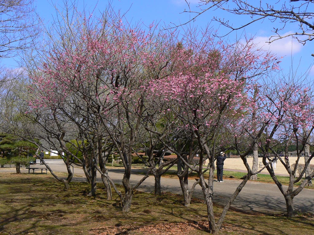 e0071178_2231381.jpg