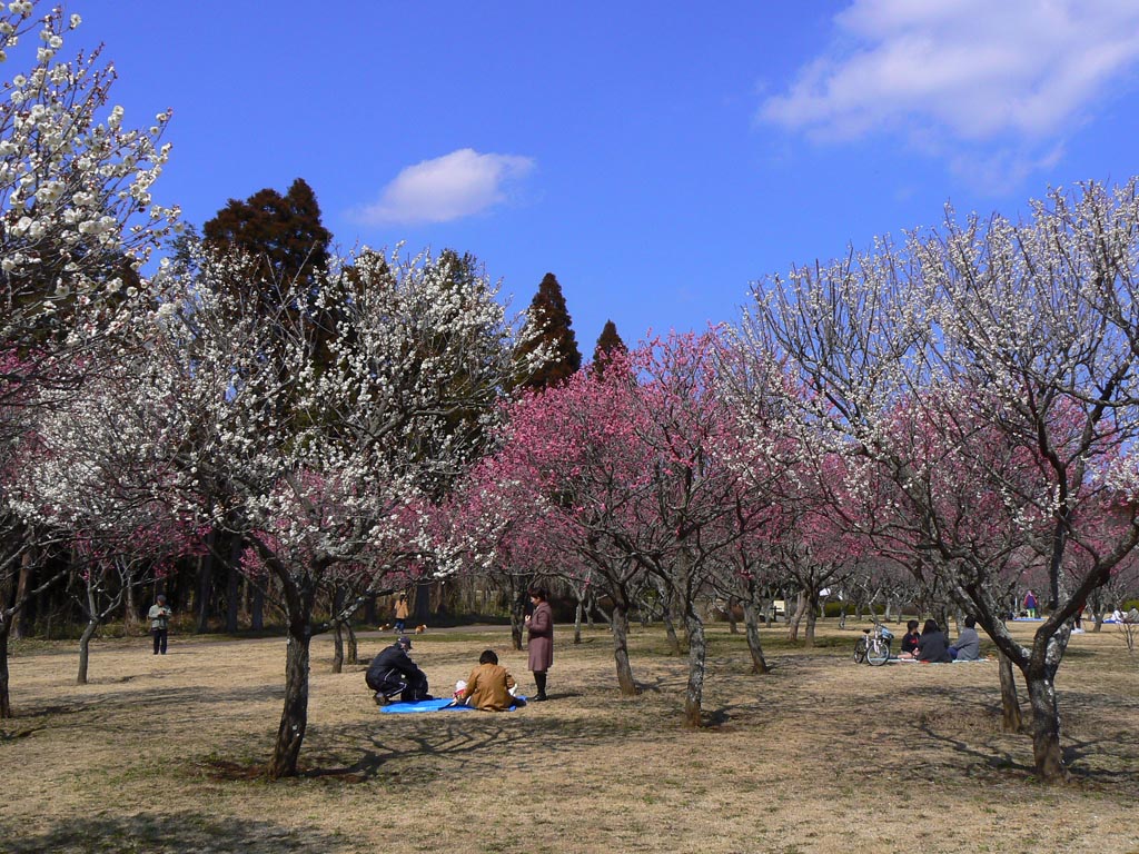 e0071178_22542289.jpg