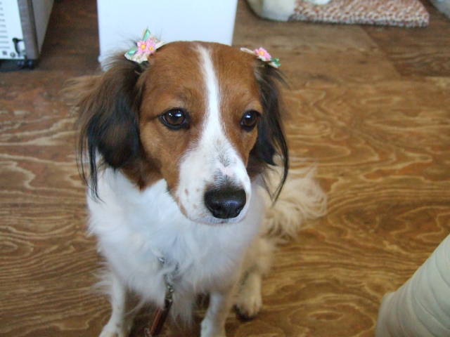 c0075585_22513083.jpg