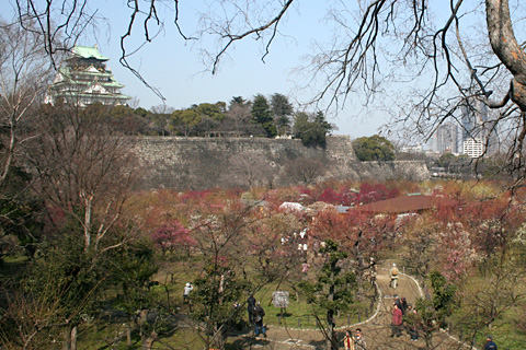 大阪城公園の梅林_a0004986_15483248.jpg