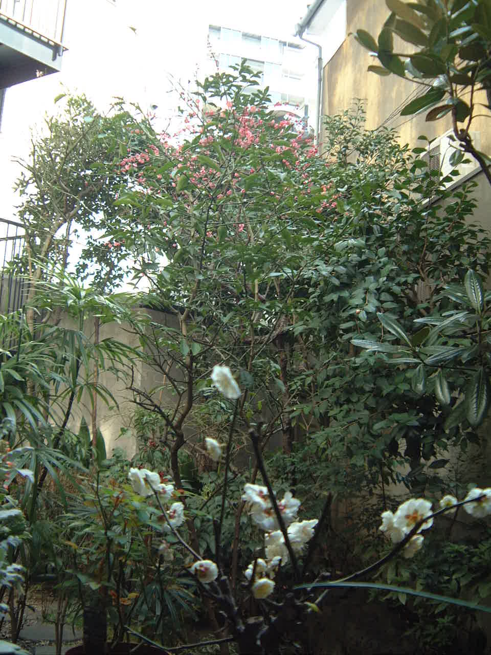 d0030693_1493989.jpg