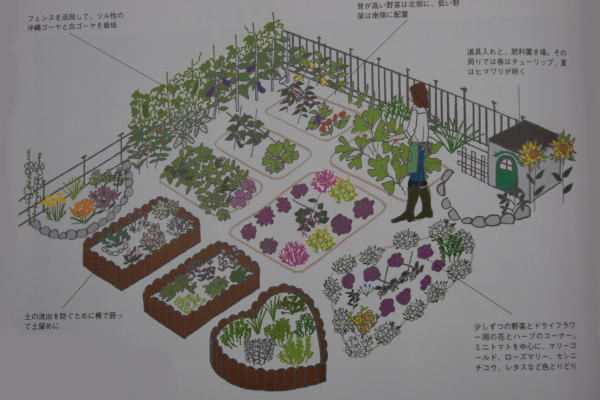 自休自足 幸せな畑の作り方 Mary S Allotment Garden