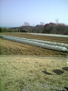 e0034013_2175887.jpg