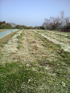 e0034013_2181275.jpg