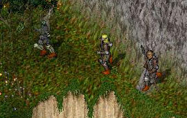 f0028415_21495854.jpg