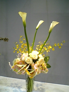 f0063931_6551345.jpg