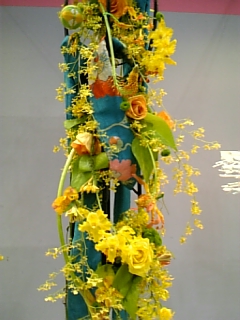 f0063931_6552379.jpg