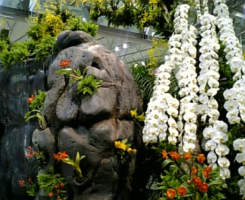 f0063931_7361843.jpg