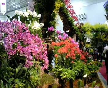 f0063931_9393783.jpg