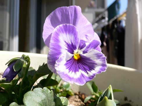 d0042049_029287.jpg