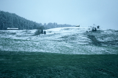 f0073254_11994.jpg
