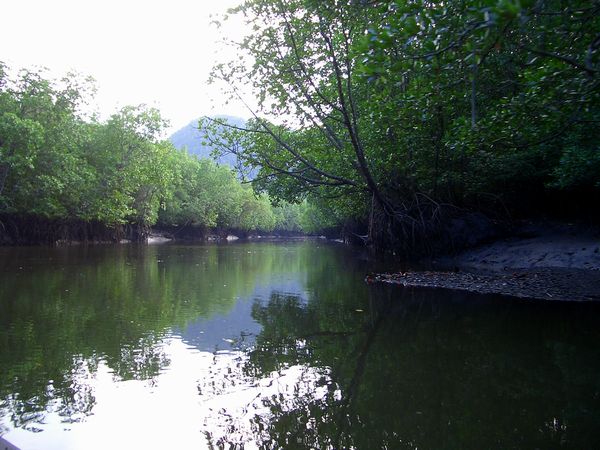 e0053660_995843.jpg
