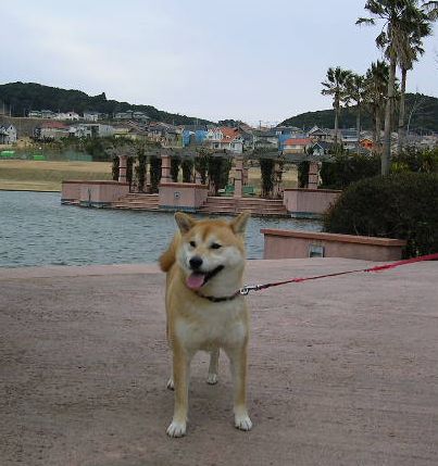2006年3月6日サーフィンにベストな波_f0060461_18365739.jpg