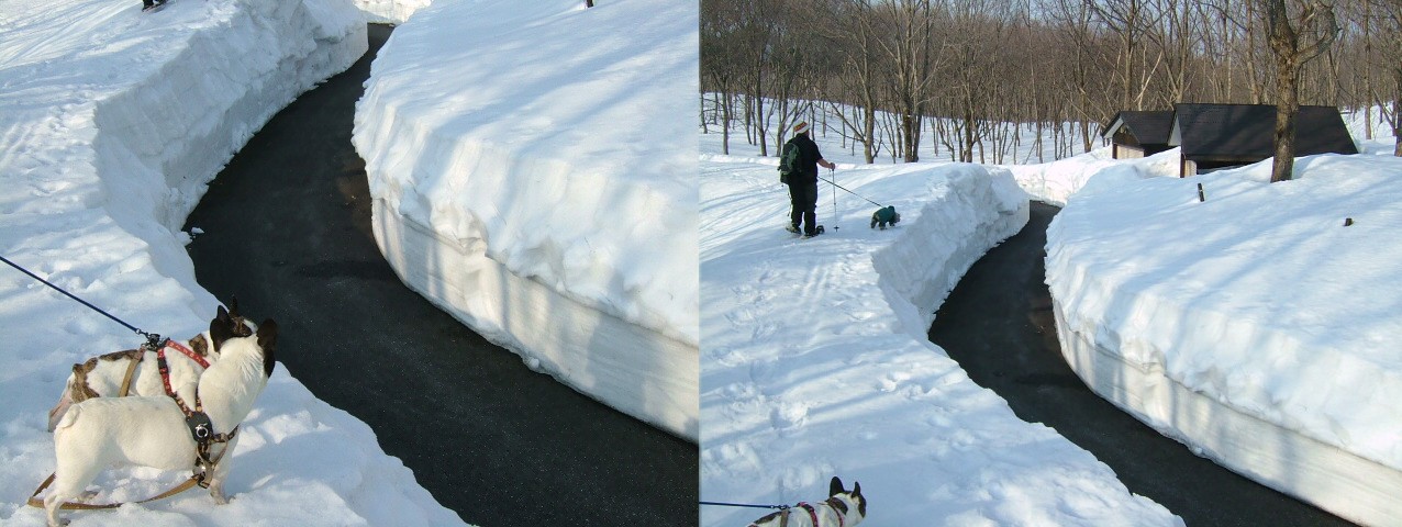 2006/3/5   荒沢湿原_f0080271_1964194.jpg