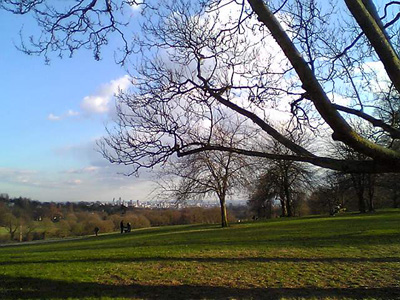 c0036998_62486.jpg