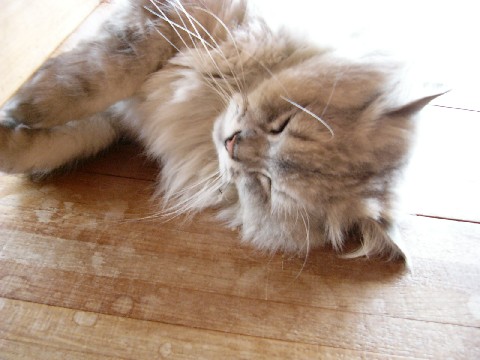 f0043911_0405179.jpg