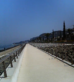 d0065116_212502.jpg
