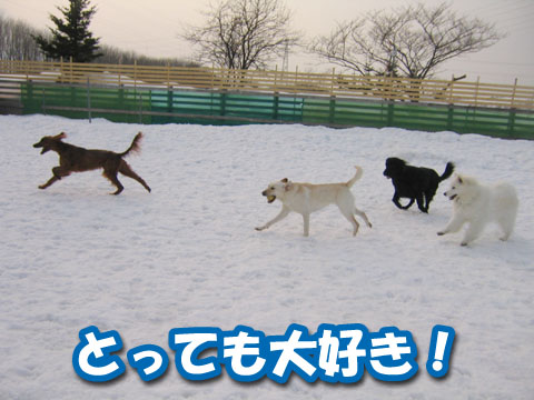 a0044521_03226.jpg