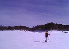 c0025724_1842031.jpg