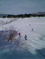 c0025724_1873110.jpg