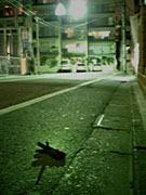 ＊信じられますか＊　　2006,3,6_a0030038_020334.jpg