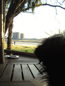 b0035453_1845138.gif