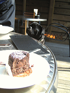 b0035453_18553099.gif